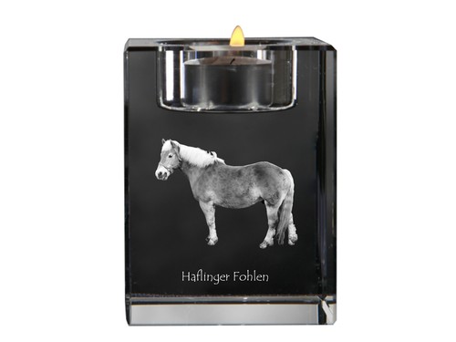 Haflinger fohlen candelabro - haflinger, di