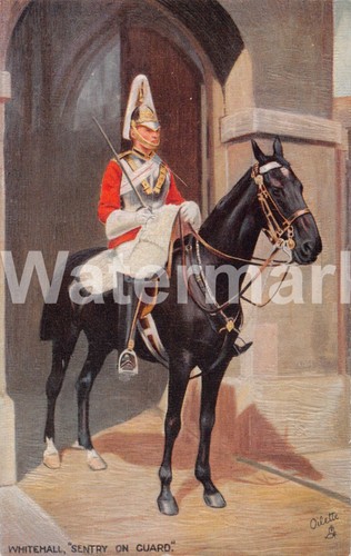 0900 whitehall sentry on - 0900.,