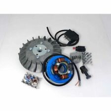 PARMAKIT ACCENSIONE ELETTRONICA ANTICIPO VARIABILE VOLANO 2,4Kg VESPA PX 125-150