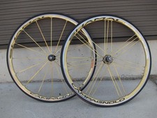 Clincher campa shamal gold - clincher,