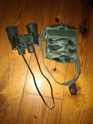 Bushnell binocolo ensign 10x50