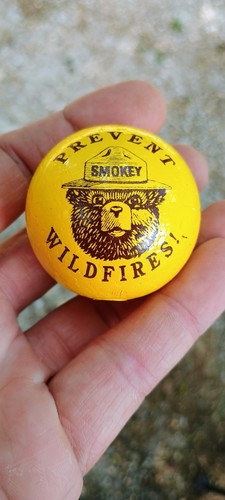 Nos vintage smokey the - nos,