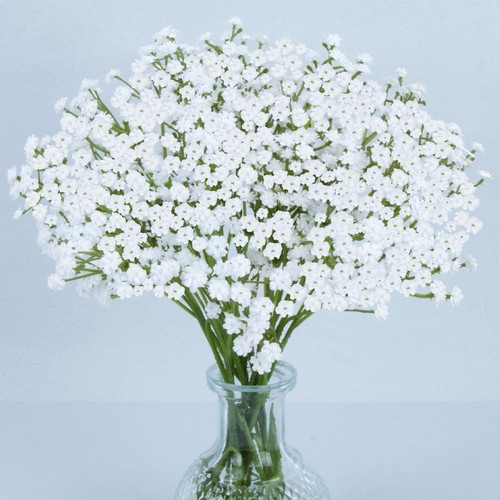 Maqiahn fiori artificiali - 6,