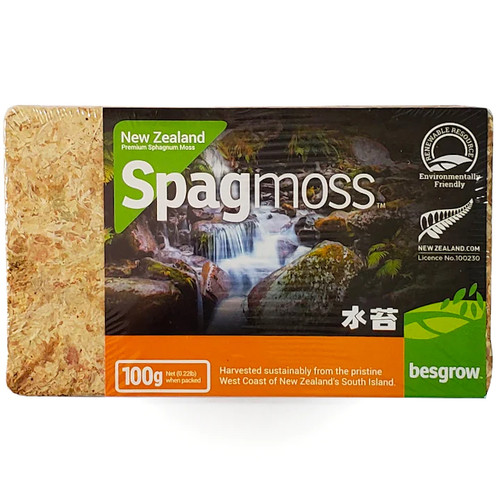 Besgrow spagmoss nuova zelanda - spagmoss,