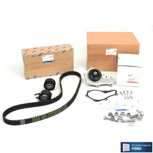 Kit distribuzione pompa - kit,