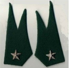 COPPIA DI MOSTRINE ALPINI