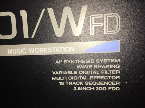 Korg wfd con astuccio - 01,