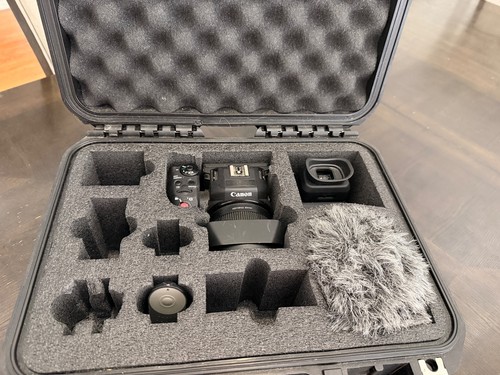 Videocamera professionale