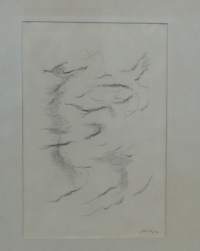Firma hasselgren disegno - firma, >