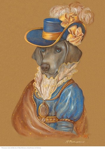 Weimaraner lady with blue - weimaraner,