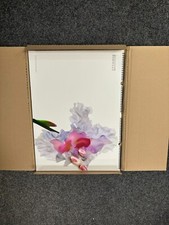 vintage pirelli calendars 2004