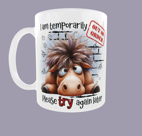 Funny asinkey regali oz - 11,