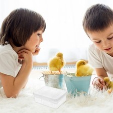  Scatola Incubazione per Uovo