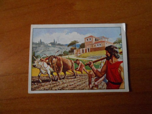 Figurina civilta 205 - civilta',