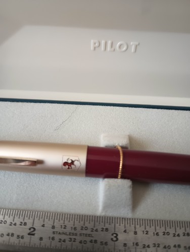 Penna stilografica pilot - stilografica,