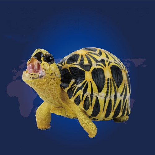 Animal heavenly body - animal,