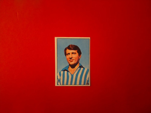 Carrera album panini - carrera,