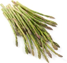 Piante di asparagi resistenti