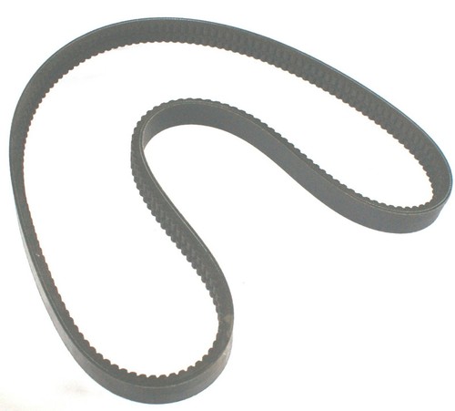Cinghia trapezoidale doppia - , a
