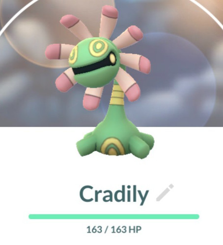 Pokemon cradily lv23 - go,