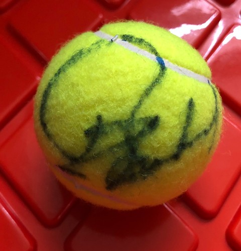 Palla tennis wilson - palla,