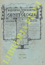 R.I.O. - (Moltoni, Orlando) -