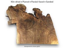 Fetta di legno radice di noce