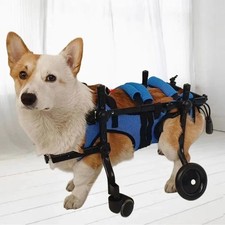 Sedia a rotelle per cani