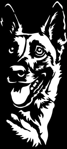 Adesivo malinois - malinois,