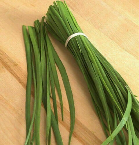 Allium tuberosum aglio - allium,