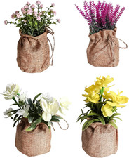 4 Pezzi Piccole Piante