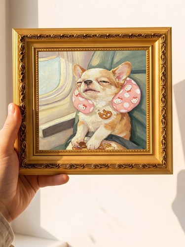 Sleepy travel chihuahua - travel,