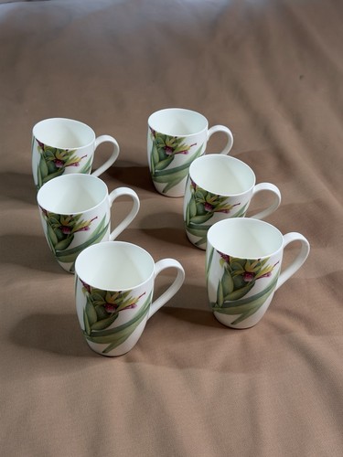 Set tazze amazonia firmate - 6,