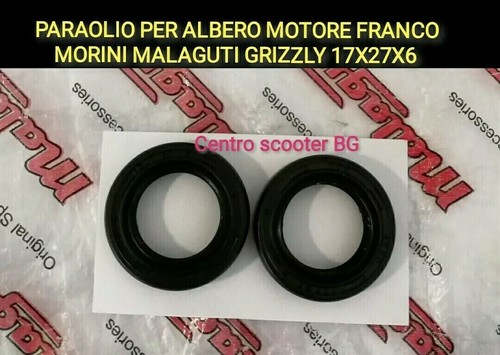 Paraolio albero motore - albero,