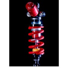 Ammortizzatore posteriore