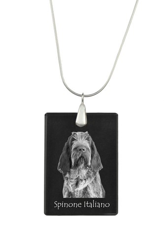 Spinone italiano collana - , di