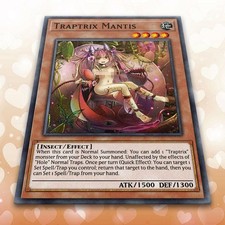 Orica Yugioh Sexy Traptrix