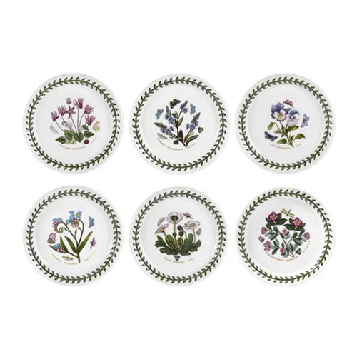 Portmeirion set piatti da - 6,