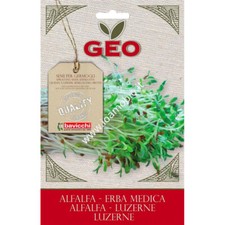 Semi di Erba Medica da