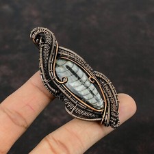 Orthoceras Ciondolo Avvolto