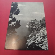Cartolina Trieste Castello