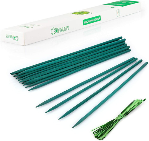 Bastoncini bambù verde - bastoncini,