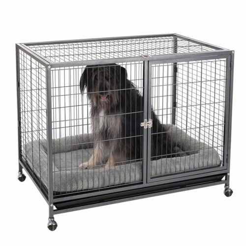 Gabbia cane cuccia box - cuccia, x