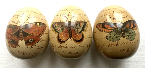 Emu eggs with painted - emu,