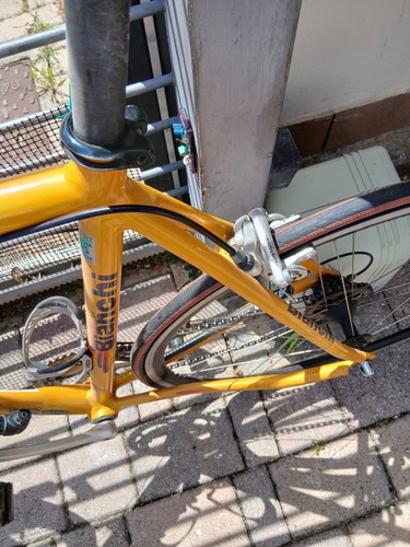Bianchi bicicletta - bicicletta, da