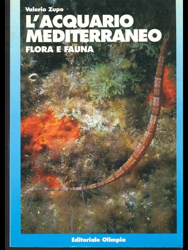 Acquario mediterraneo flora - mediterraneo.,