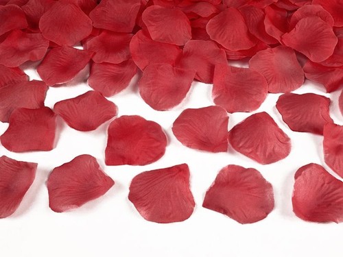 500 petali rosa - petali, rosso