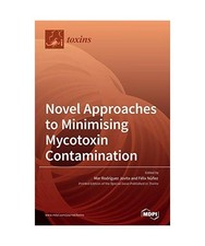 Novel Approaches to Minimising
