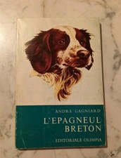 L'épagneul breton. Cane da