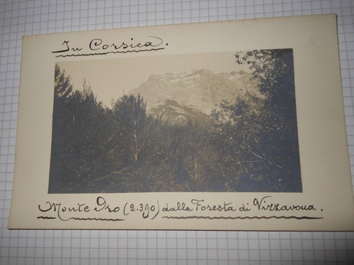 Foto cartolina corsica - in,